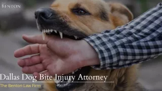 Dallas Dog Bite Injury Attorney | The Benton Law Firm