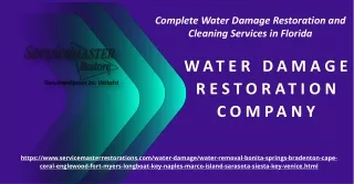 complete water damage restoration and cleaning