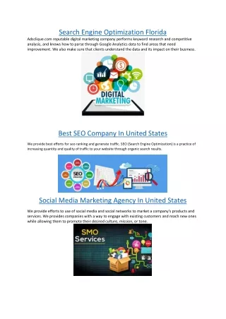 search engine optimization florida adsclique