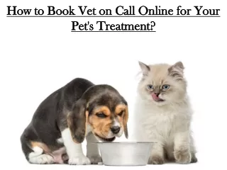 How to Book Vet on Call Online for Your Pet's Treatment