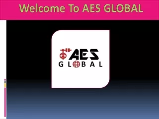 Drahtlose Gegensprechanlage - AES Global