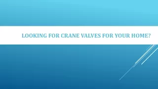 looking for crane valves for your home