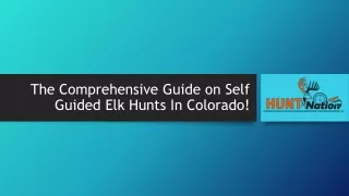 the comprehensive guide on self guided elk hunts in colorado