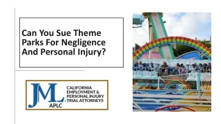 Can You Sue Theme Parks For Negligence And Personal Injury?
