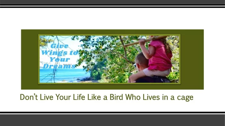 don t live your life like a bird who lives in a cage