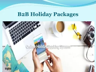 B2B Holiday Packages