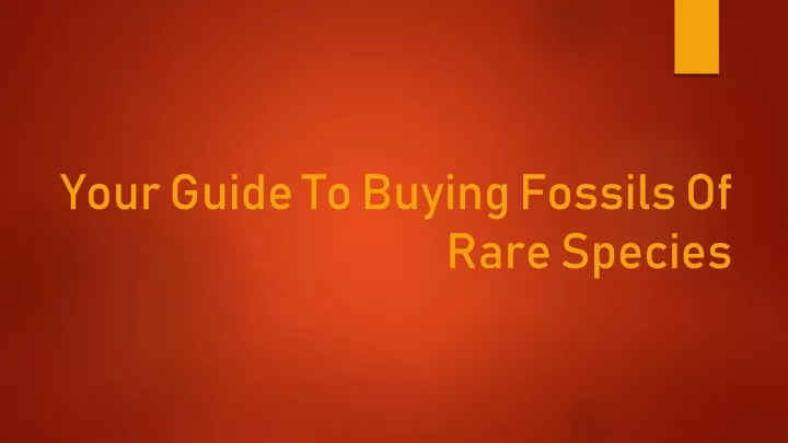 your guide to buying fossils of rare species