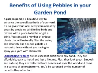 Benefits of Using Pebbles in your Garden Pond