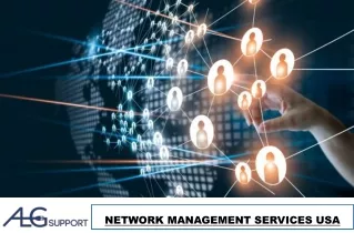 network management services usa