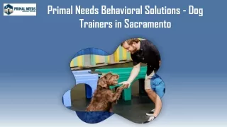 Primal Needs Behavioral Solutions - Dog Trainers in Sacramento