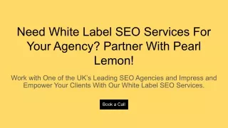 Need White Label SEO Services For Your Agency_ Partner With Pearl Lemon!