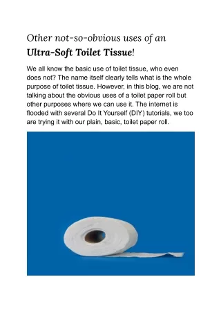 Other not-so-obvious uses of an Ultra-Soft Toilet Tissue