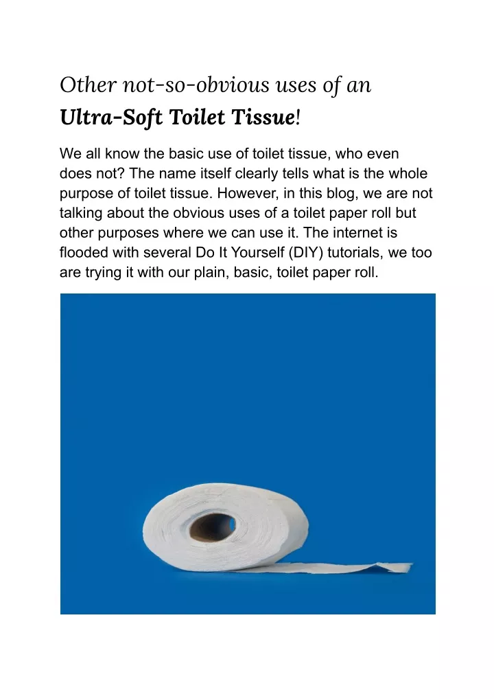 other not so obvious uses of an ultra soft toilet