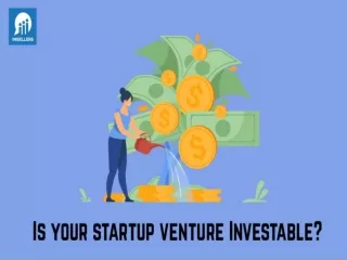 is startup venture investable?