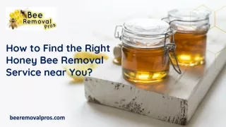 How to Find the Right Honey Bee Removal Service near You
