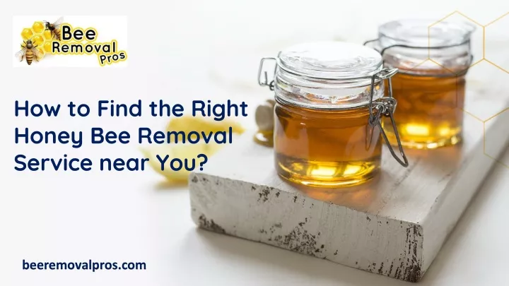 how to find the right honey bee removal service