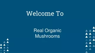 Online Magic Mushrooms Dispensary USA