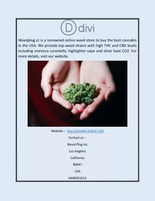 Buy Cannabis Online USA  Weedplug.cc