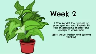 week 2