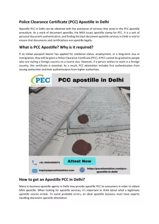PCC Apostille in Delhi