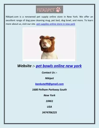 pet supplies online store in new york ad