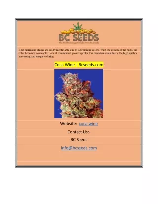 blue marijuana strains are easily identifiable