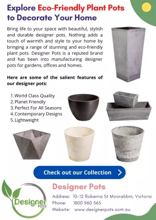 Explore Eco-Friendly Plant Pots  to Decorate Your Home