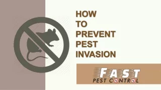 How to Prevent Pest Invasion | Fast Pest Control