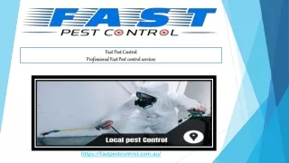 Professional Pest Control Services | Fast Pest Control