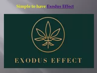 Exodus Effect Provides great client care
