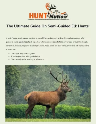 Elk Hunting Outfitters In New Mexico | Hunt Nation