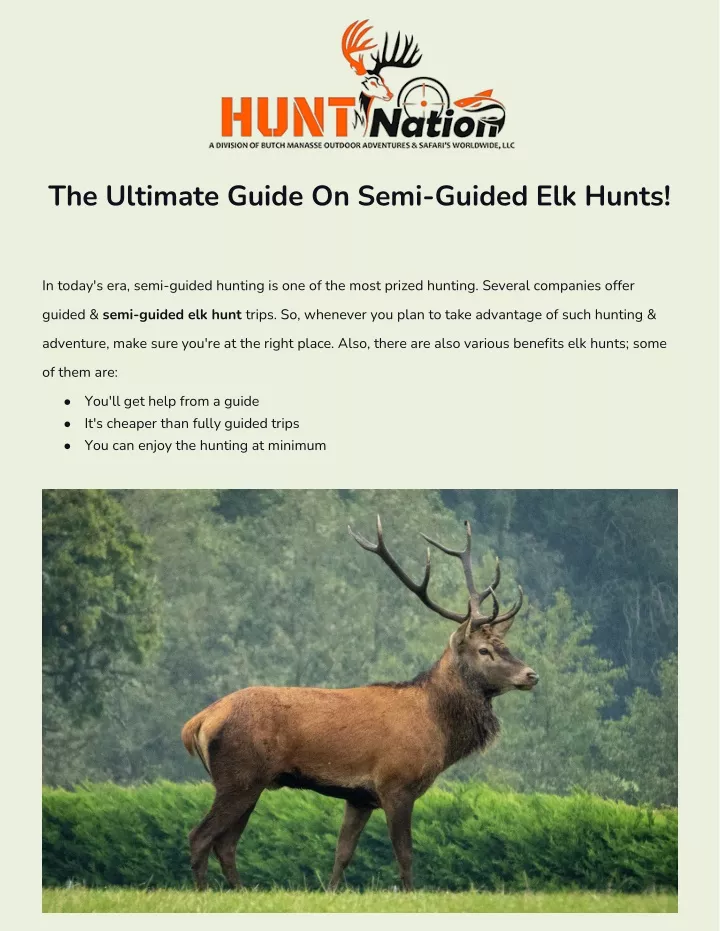 the ultimate guide on semi guided elk hunts