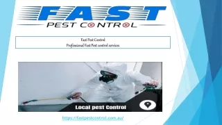 Finest Pest Eradicators | Fast Pest Control