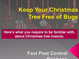 Keep Your Christmas Tree Free of Bugs | Pest Control Tips | Fast Pest Control