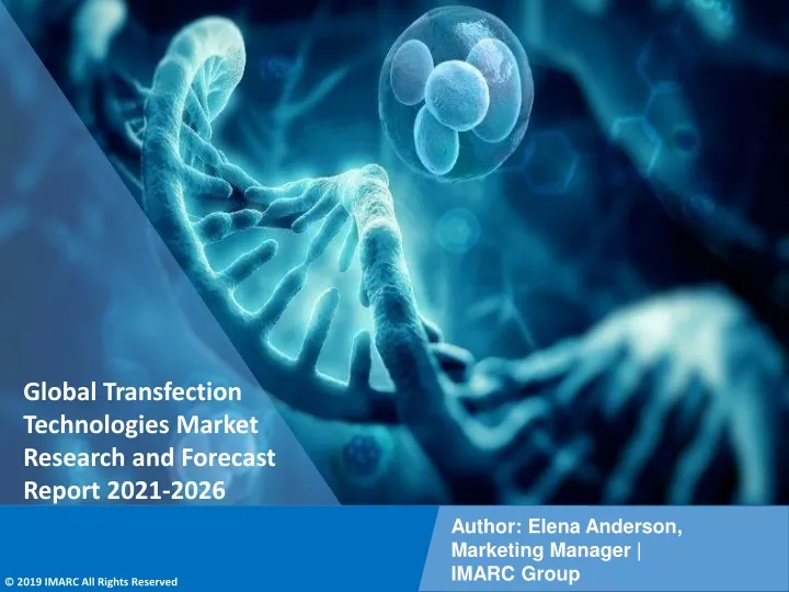 global transfection technologies market research
