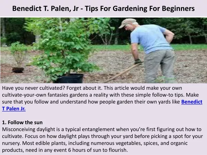 benedict t palen jr tips for gardening for beginners