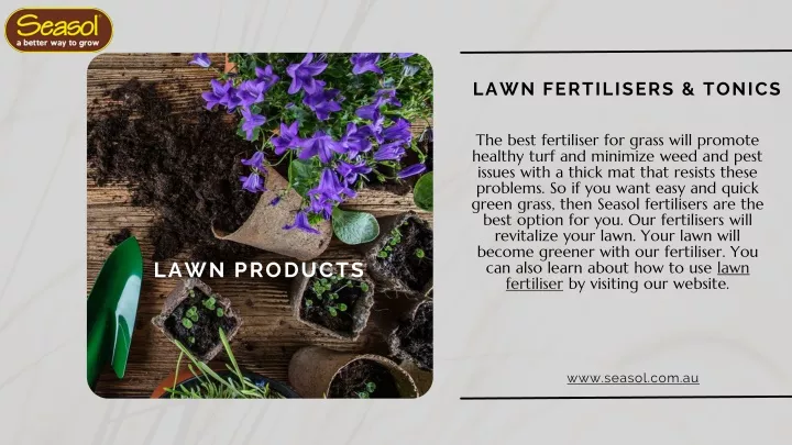 lawn fertilisers tonics