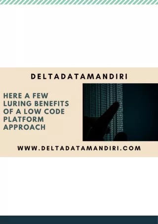 A Digital Transformation and Low Code Platform in Indonesia