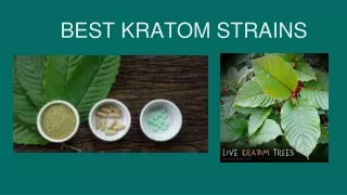 best kratom strains