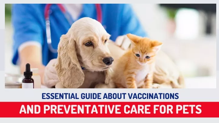 essential guide about vaccinations