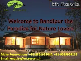 Welcome to Bandipur the Paradise for Nature Lovers