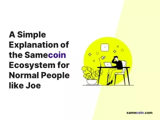 a simple explanation of the samecoin ecosystem