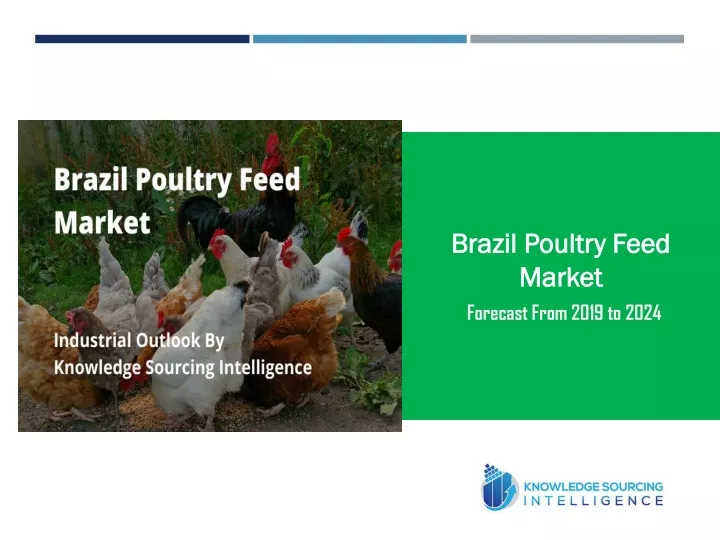 brazil poultry feed market forecast from 2019