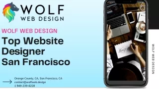 Top Website Designer San Francisco,USA | Wolfweb.design