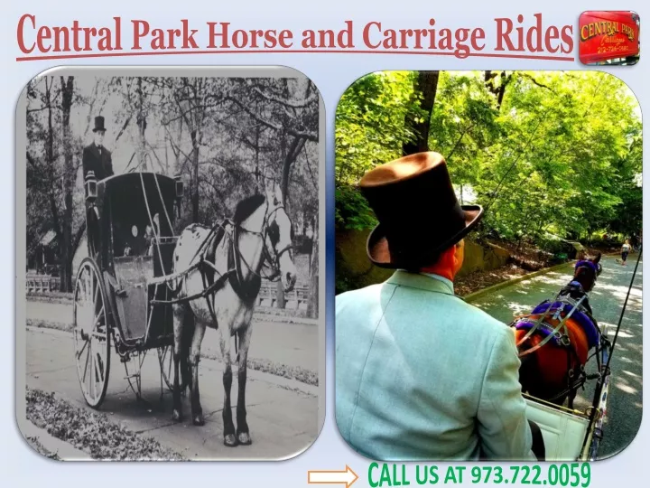 central park horse and carriage rides