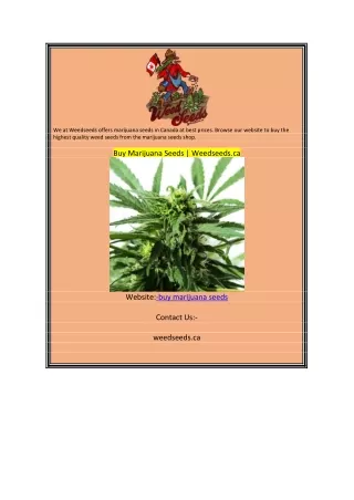 Buy Marijuana Seeds  Weedseeds.ca