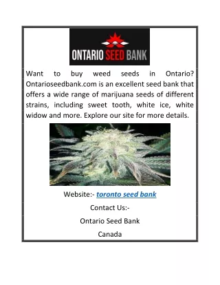 Toronto Seed Bank | Ontarioseedbank.com