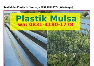 Jual Mulsa Plastik Di Surabaya 08౩I–4I80–I778(WA)