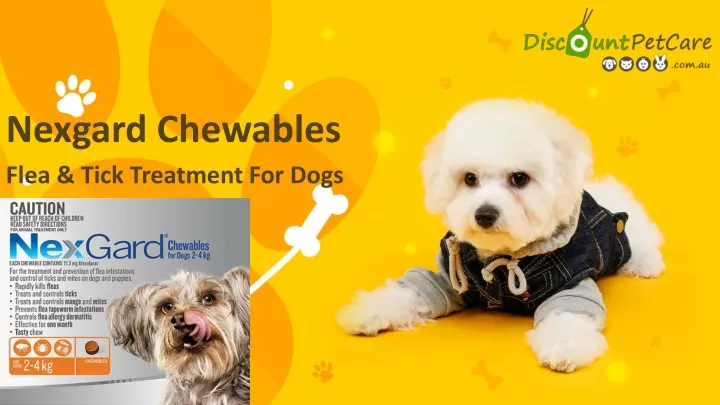 flea tick treatment for dogs