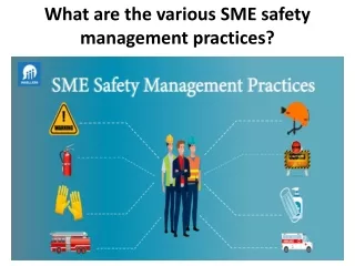 What are the various SME safety management practices?